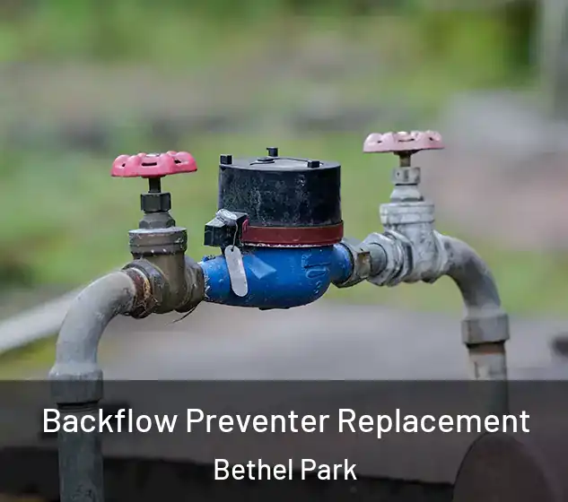  Backflow Preventer Replacement Bethel Park