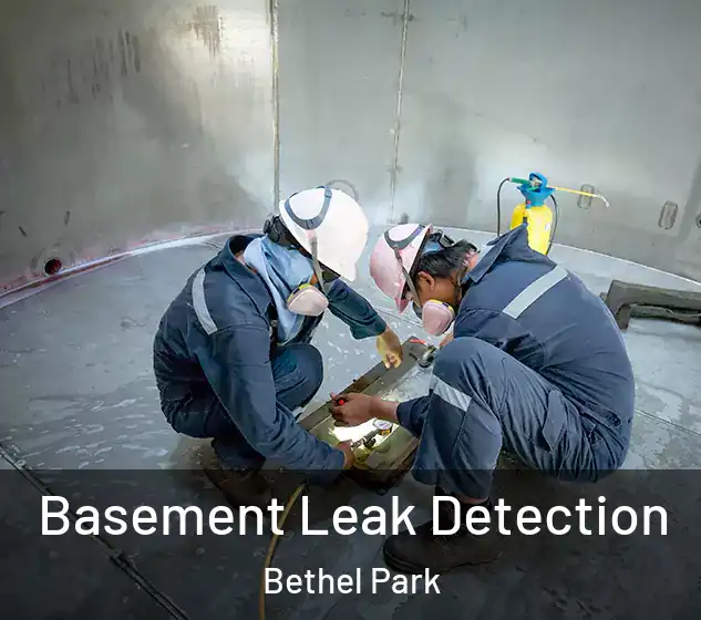  Basement Leak Detection Bethel Park