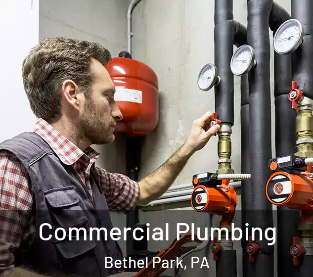 Commercial Plumbing Bethel Park, PA