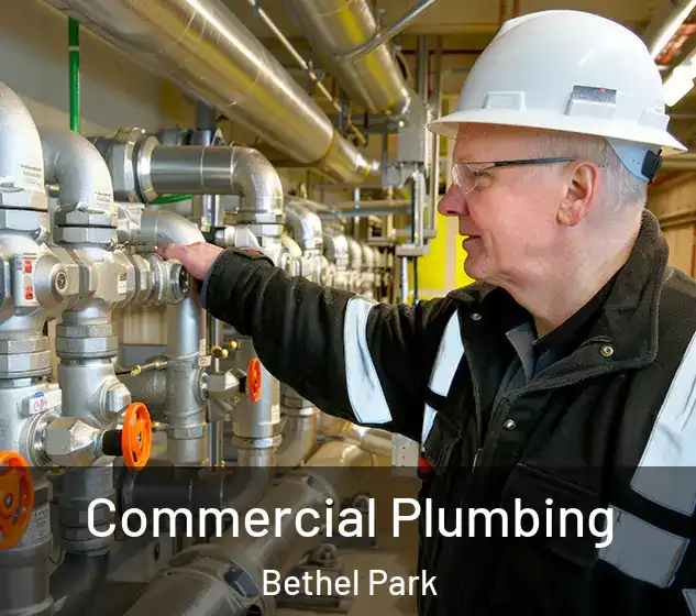  Commercial Plumbing Bethel Park