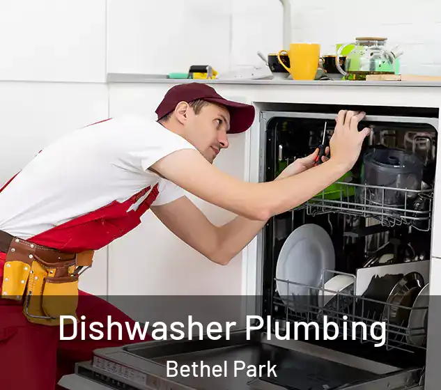  Dishwasher Plumbing Bethel Park