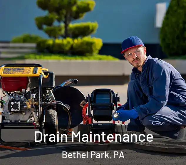  Drain Maintenance Bethel Park, PA