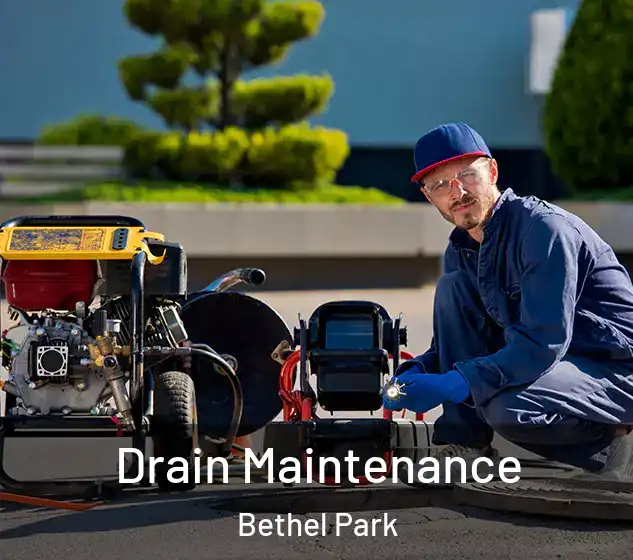  Drain Maintenance Bethel Park