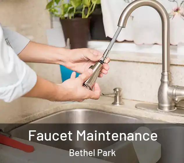  Faucet Maintenance Bethel Park