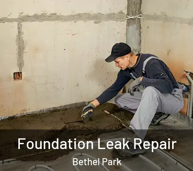  Foundation Leak Repair Bethel Park