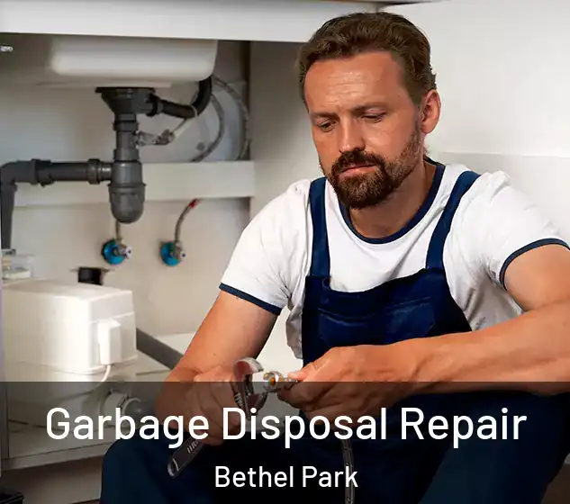  Garbage Disposal Repair Bethel Park