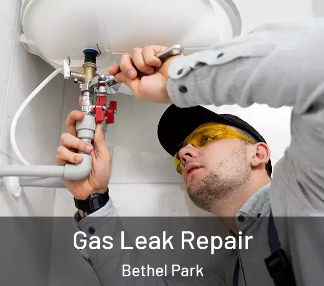  Gas Leak Repair Bethel Park