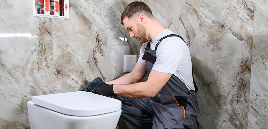 Scope of Bathroom Toilet Replacement Services in Bethel Park, PA