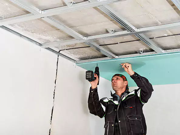 Why Bethel Park Plumbing is the First Choice for Roof & Ceiling Leak Detection Services in Bethel Park, PA?