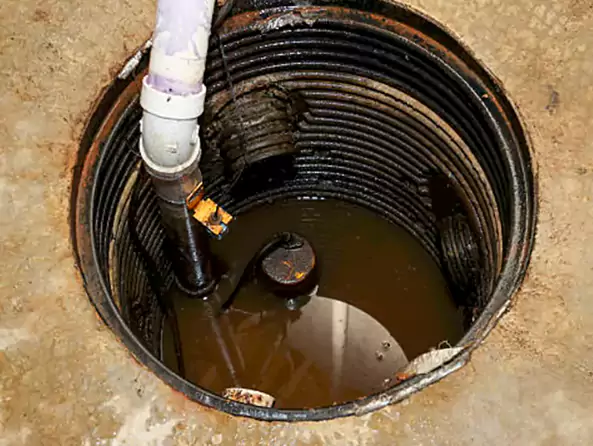 Why Bethel Park Plumbing is the First Choice for Sump Pump Maintenance Services in Bethel Park, PA?