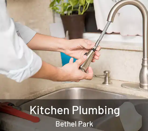  Kitchen Plumbing Bethel Park