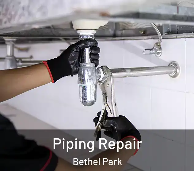  Piping Repair Bethel Park