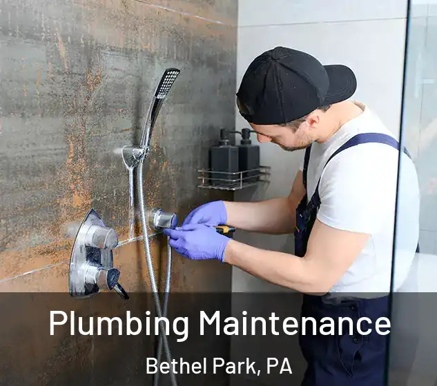  Plumbing Maintenance Bethel Park, PA