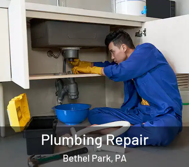  Plumbing Repair Bethel Park, PA
