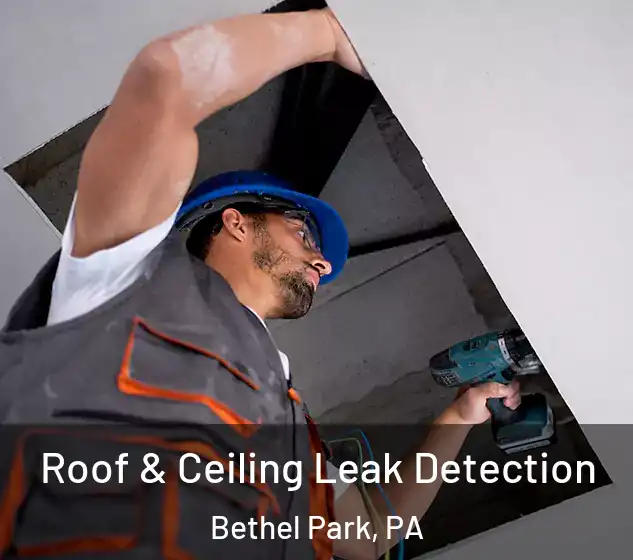  Roof & Ceiling Leak Detection Bethel Park, PA
