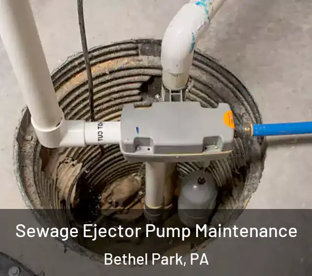  Sewage Ejector Pump Maintenance Bethel Park, PA