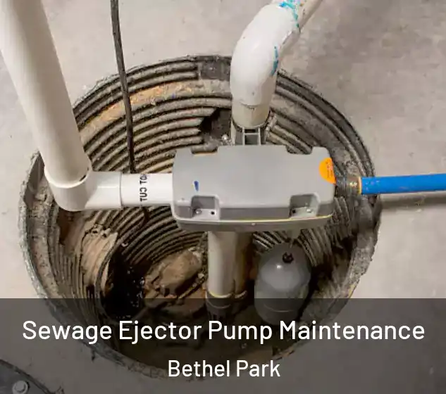  Sewage Ejector Pump Maintenance Bethel Park