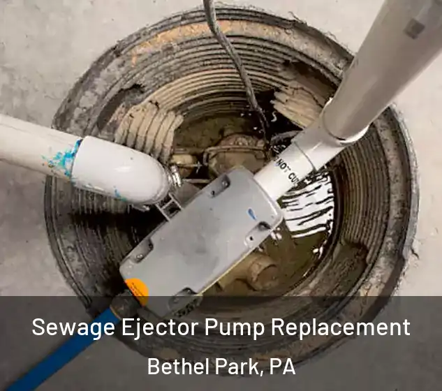  Sewage Ejector Pump Replacement Bethel Park, PA