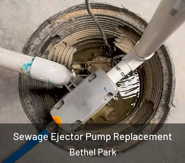  Sewage Ejector Pump Replacement Bethel Park