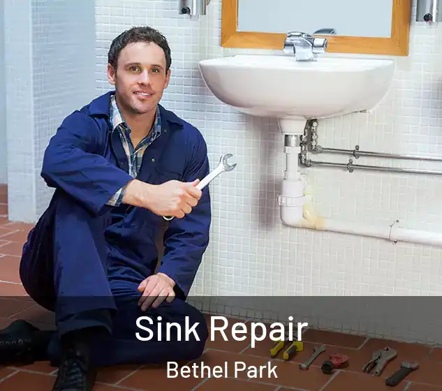 Sink Repair Bethel Park
