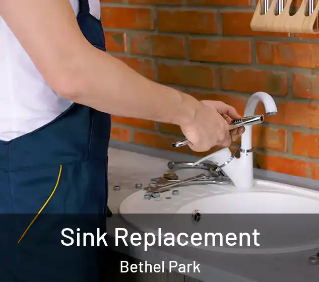  Sink Replacement Bethel Park