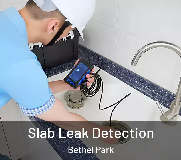 Slab Leak Detection Bethel Park