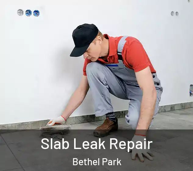  Slab Leak Repair Bethel Park