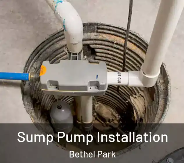  Sump Pump Installation Bethel Park