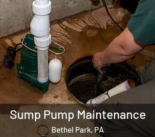  Sump Pump Maintenance Bethel Park, PA
