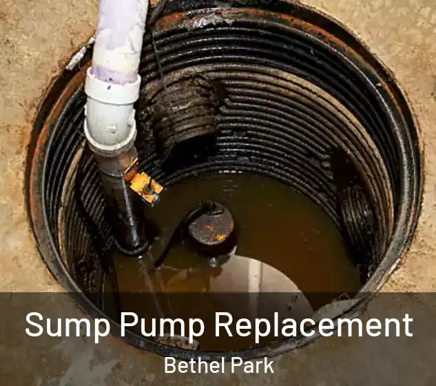  Sump Pump Replacement Bethel Park
