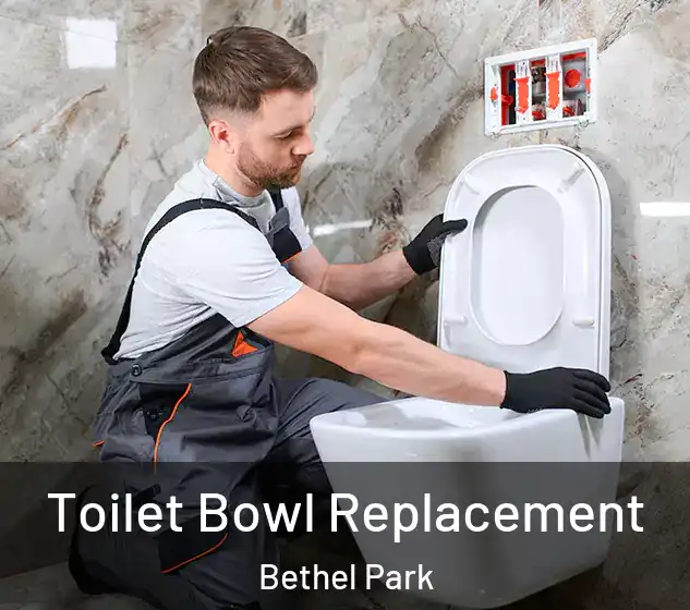  Toilet Bowl Replacement Bethel Park