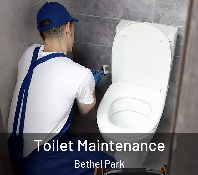  Toilet Maintenance Bethel Park
