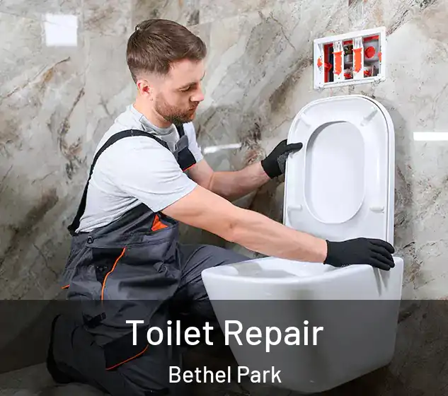  Toilet Repair Bethel Park