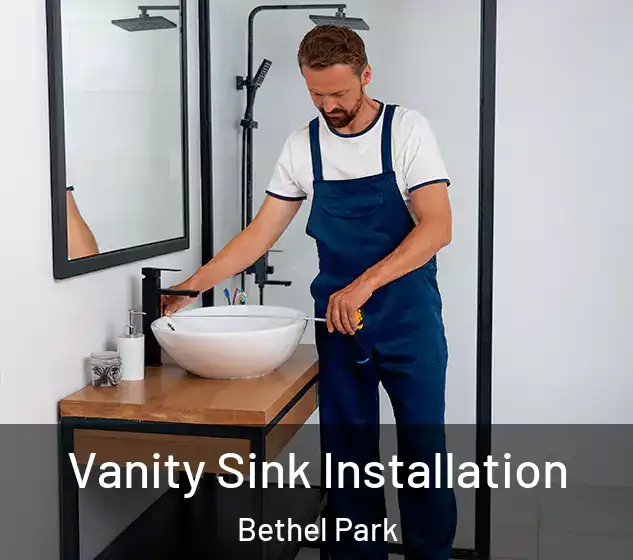  Vanity Sink Installation Bethel Park
