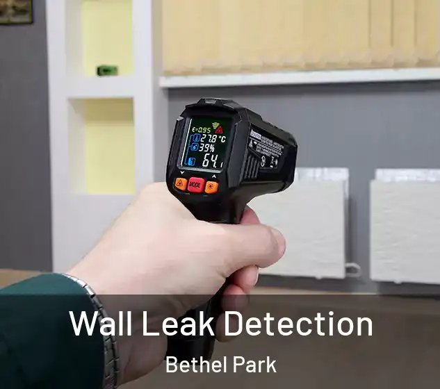  Wall Leak Detection Bethel Park