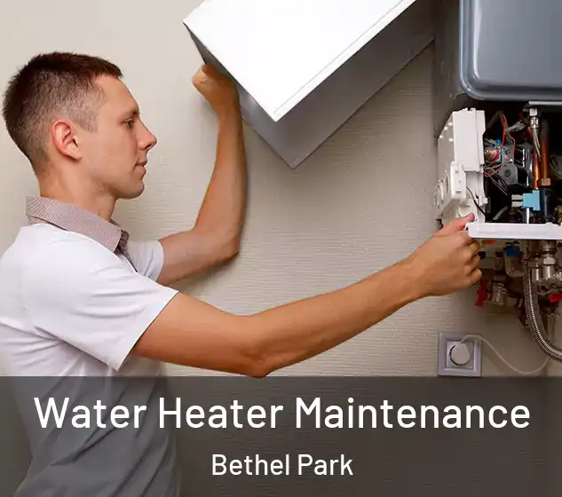  Water Heater Maintenance Bethel Park