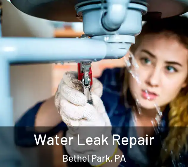  Water Leak Repair Bethel Park, PA