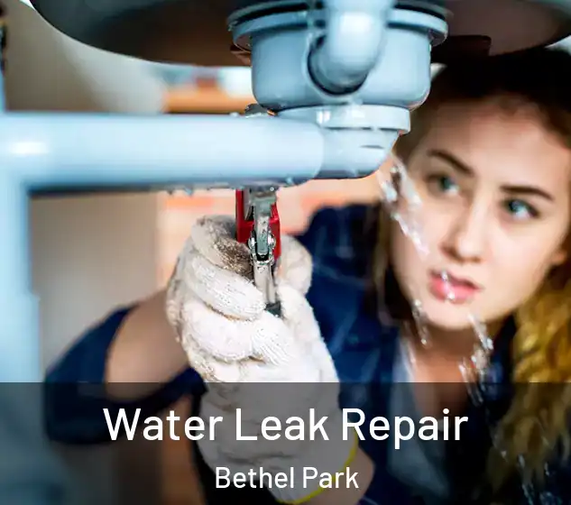  Water Leak Repair Bethel Park